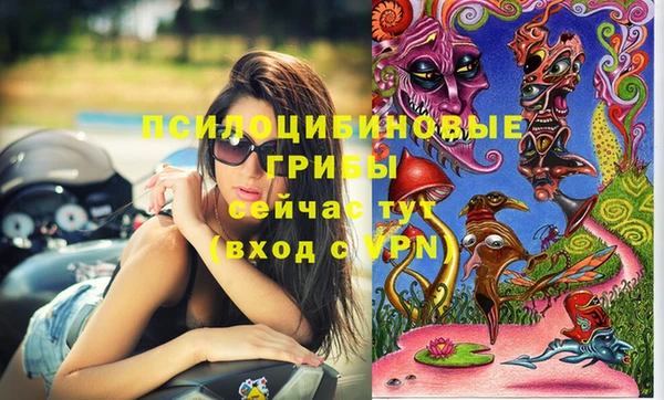 марки lsd Богородицк