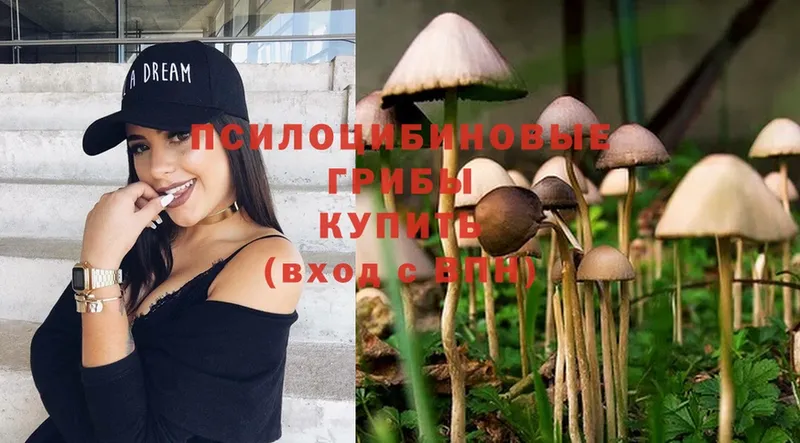 Галлюциногенные грибы Magic Shrooms  hydra ONION  Норильск 